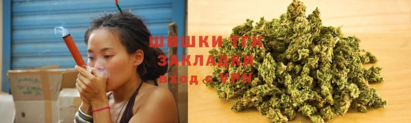 гидропоника Алзамай