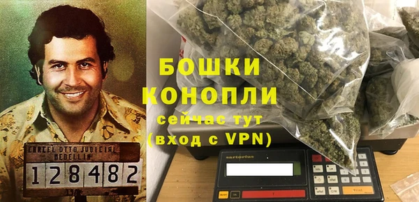 гидропоника Алзамай
